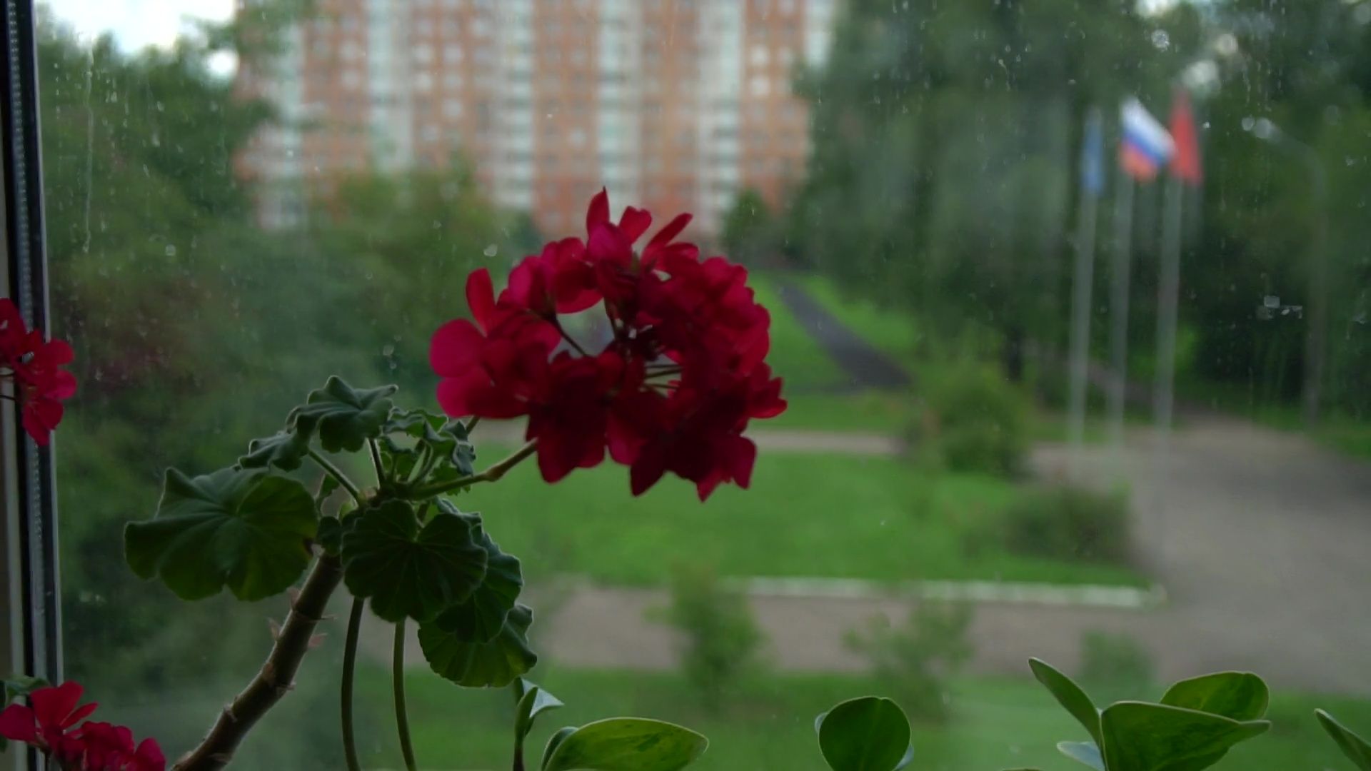 Реутов, образование, приемка школ, комиссия, антитеррористическая безопасность, пожарная безопасность,