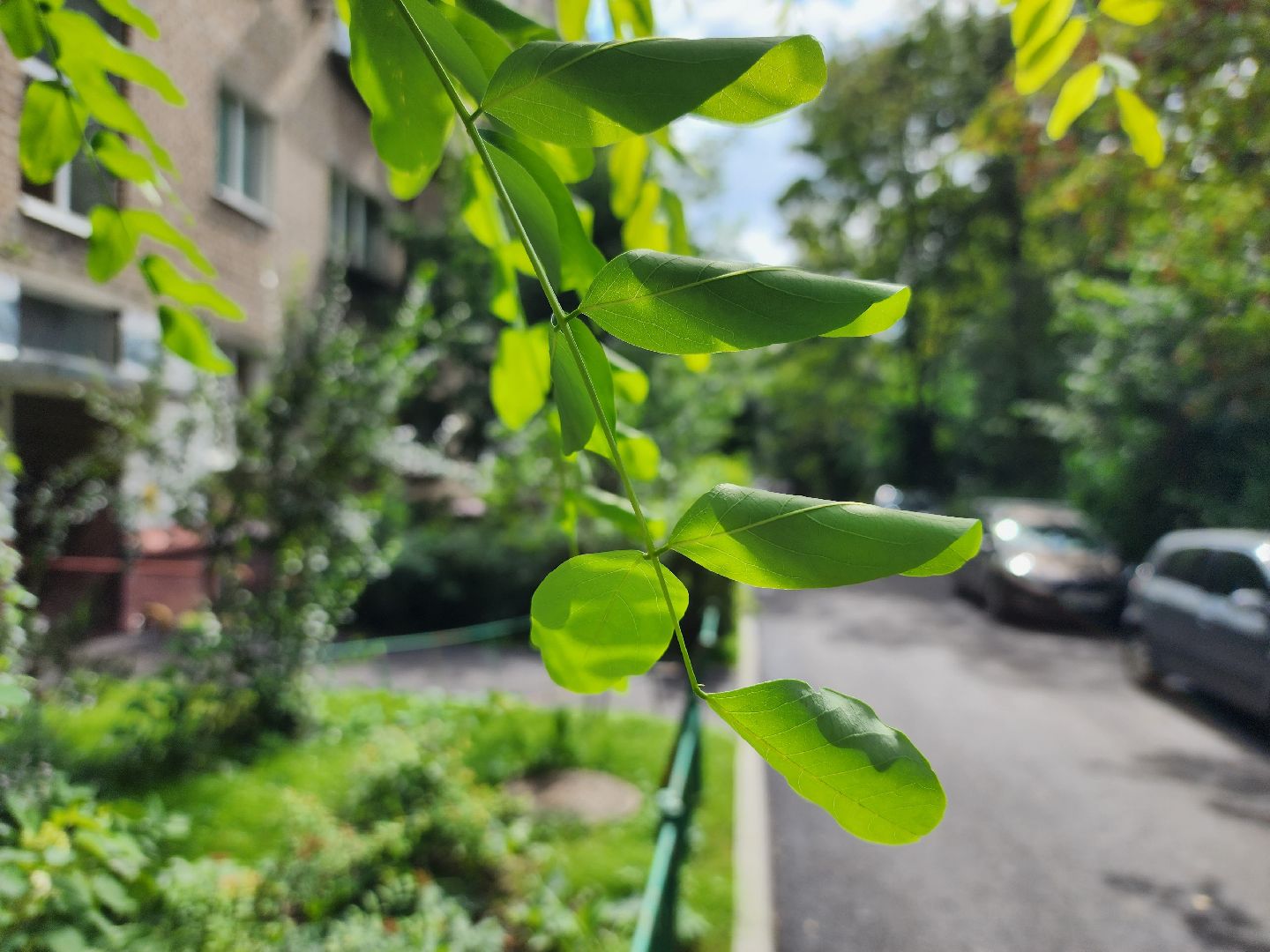 королёв, благоустройство , новые асфальт на толстого,