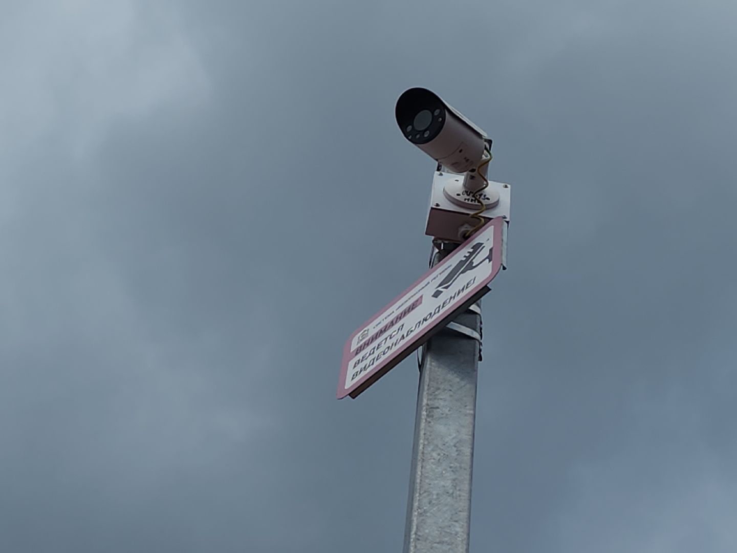 новая школа, мытищи,