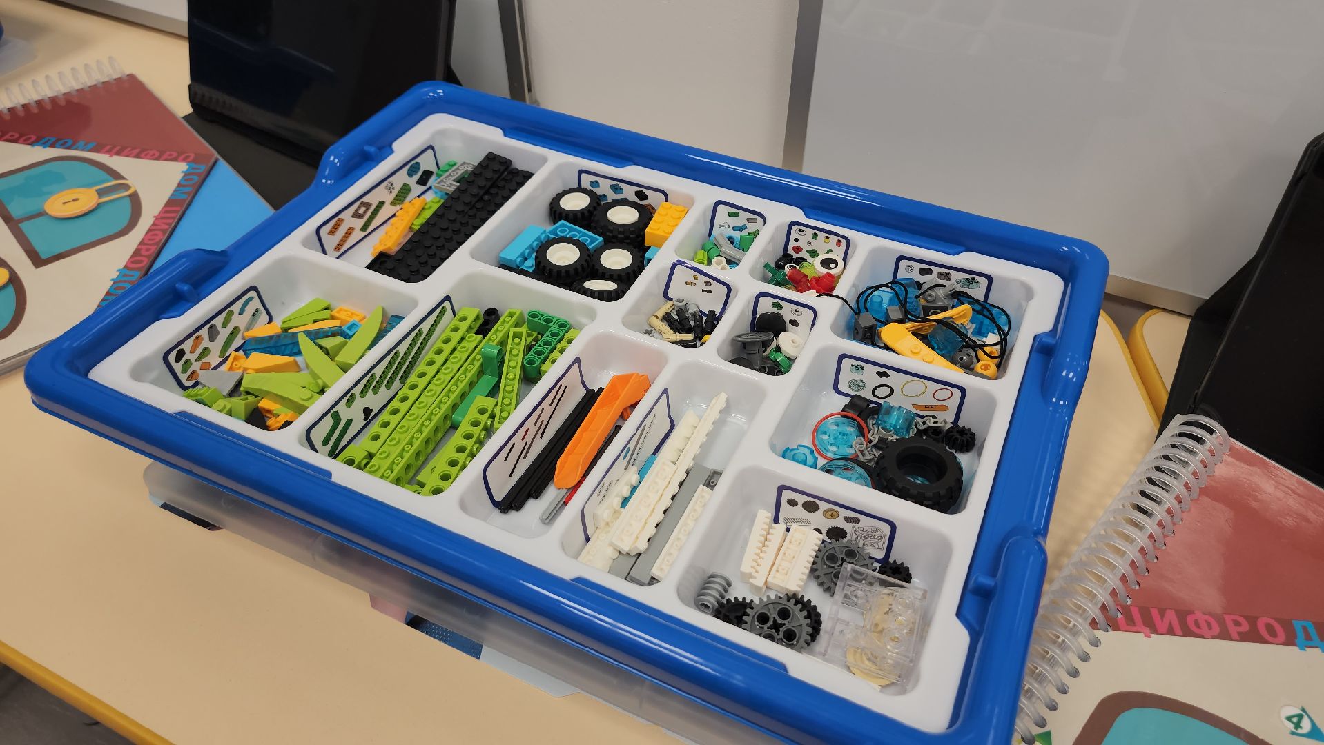 Люберцы, лингвистическая школа, детский сад кораблик, 1 сентября,