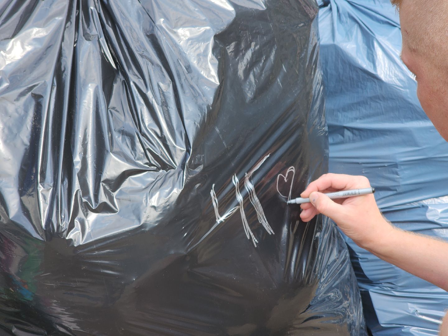 Черноголовка, Экоакция, Мегабак,