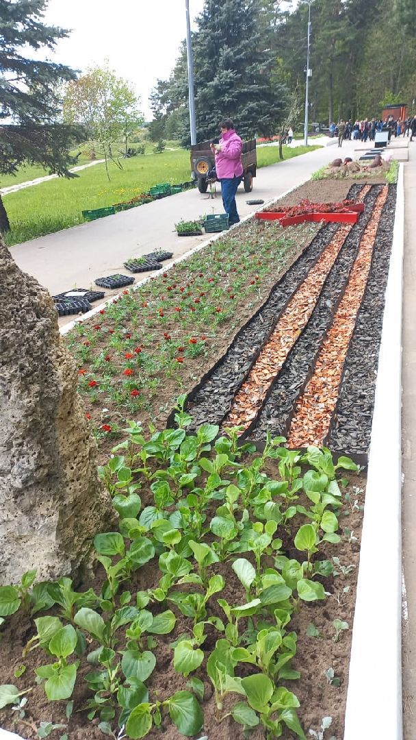 День Победы, Протвино, благоустройство, озеленение, мемориал, Рубеж обороны, цветы