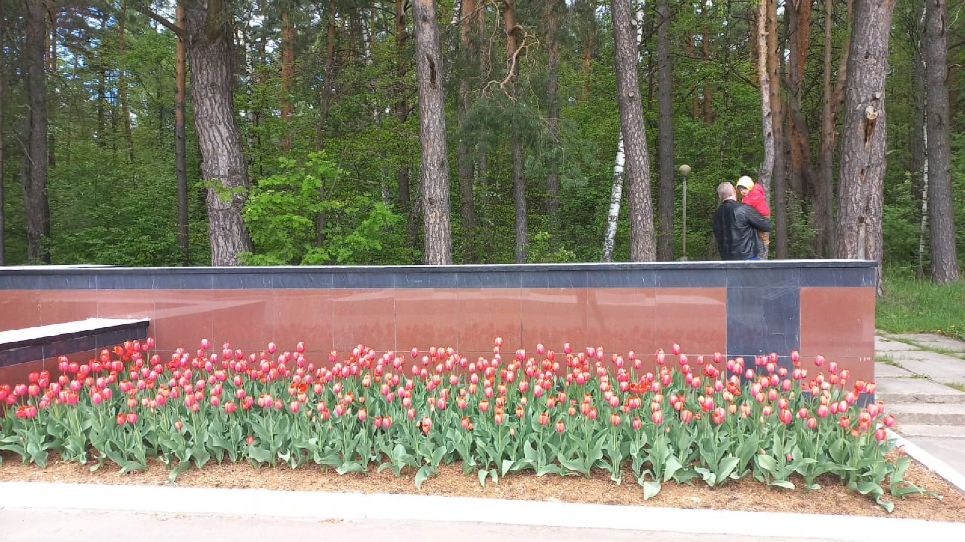 День Победы, Протвино, благоустройство, озеленение, мемориал, Рубеж обороны, цветы