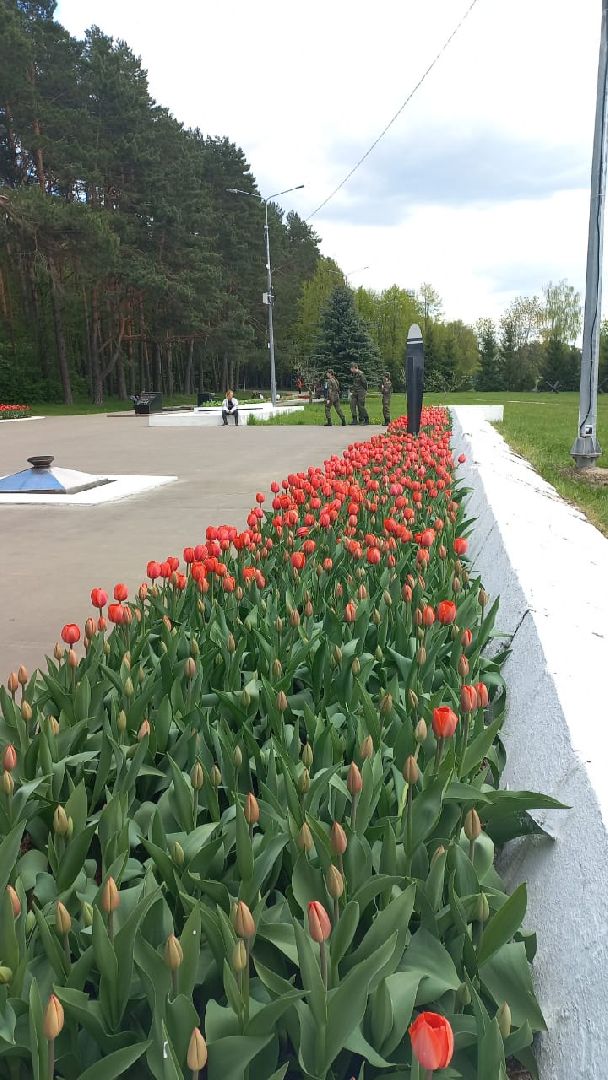 День Победы, Протвино, благоустройство, озеленение, мемориал, Рубеж обороны, цветы
