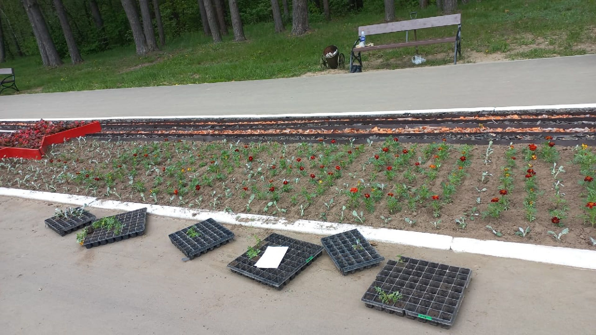 День Победы, Протвино, благоустройство, озеленение, мемориал, Рубеж обороны, цветы