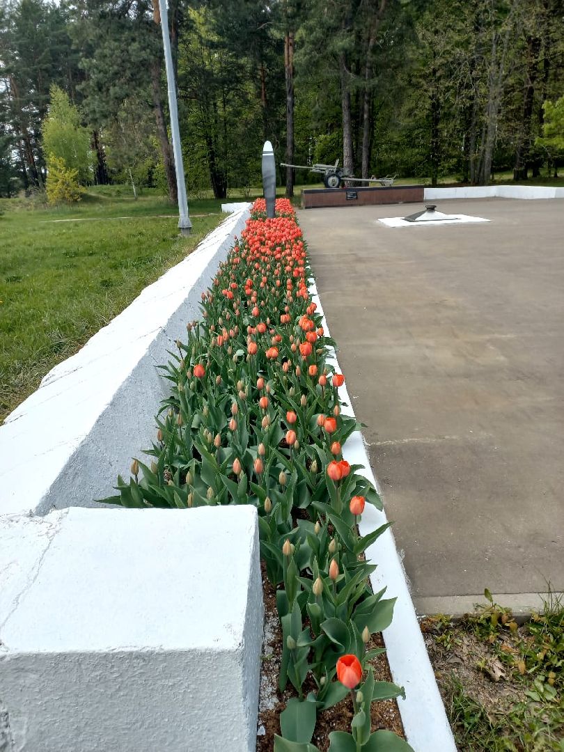 День Победы, Протвино, благоустройство, озеленение, мемориал, Рубеж обороны, цветы