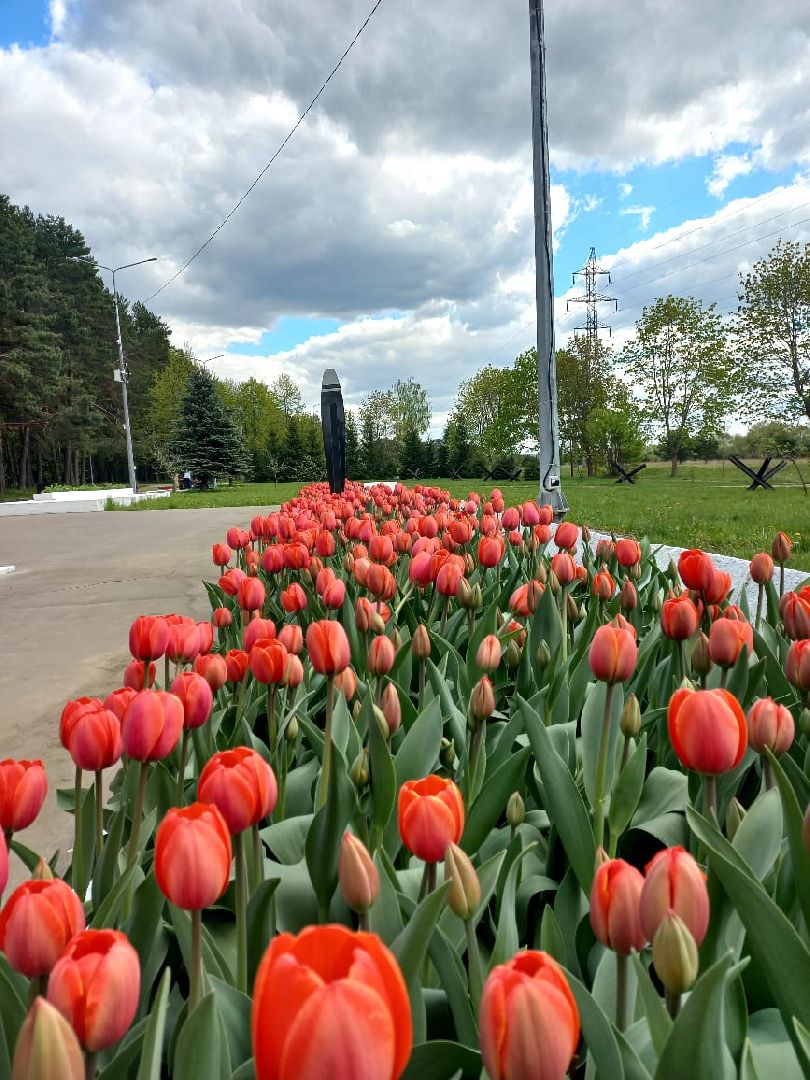 День Победы, Протвино, благоустройство, озеленение, мемориал, Рубеж обороны, цветы