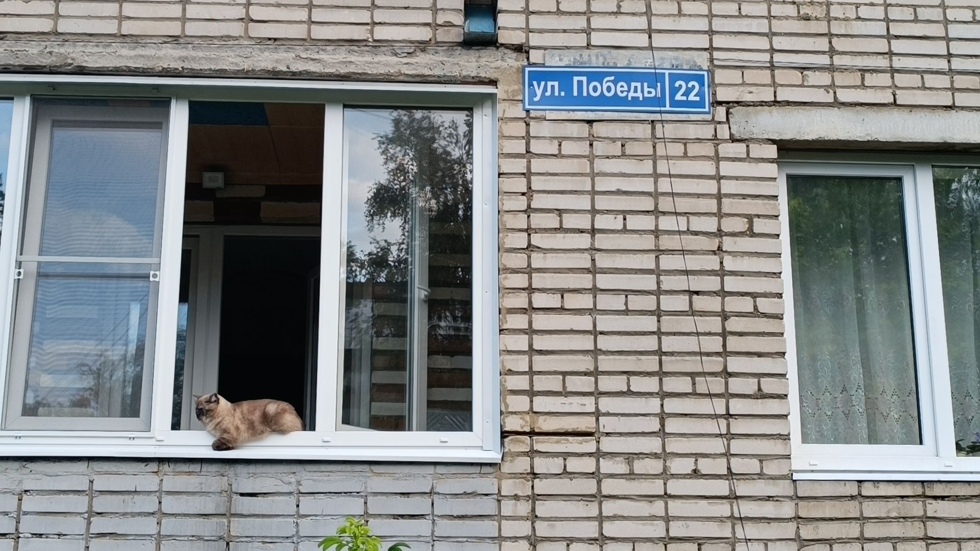 двор, лобня,детская  площадка,