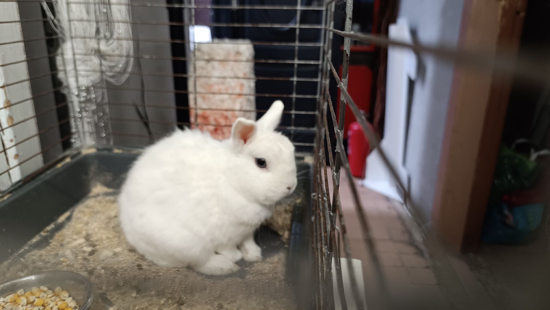 фотовыставка, лобня, добрология, овз,