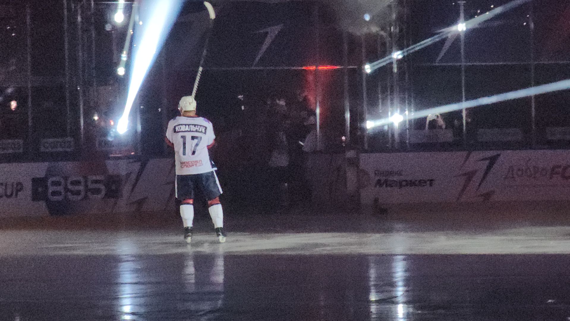 кубок овечкина, мытищи,