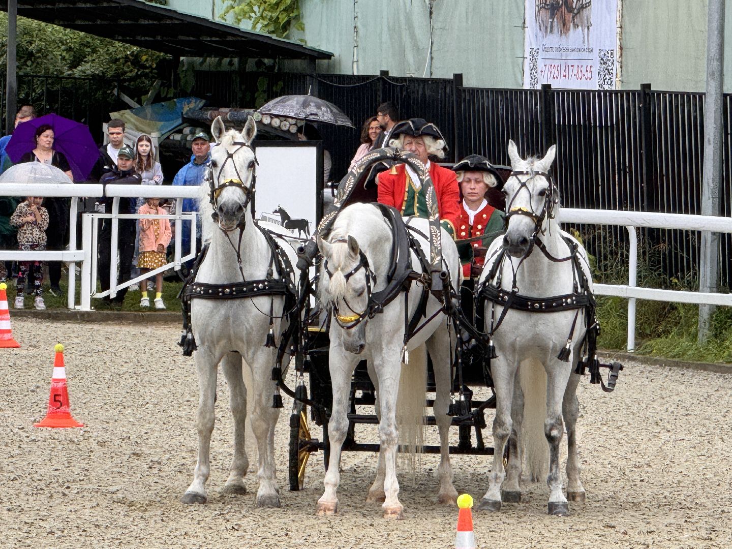 Крылатое сердце России, Чемпионат русских троек, Одинцово, МКЗ 1,