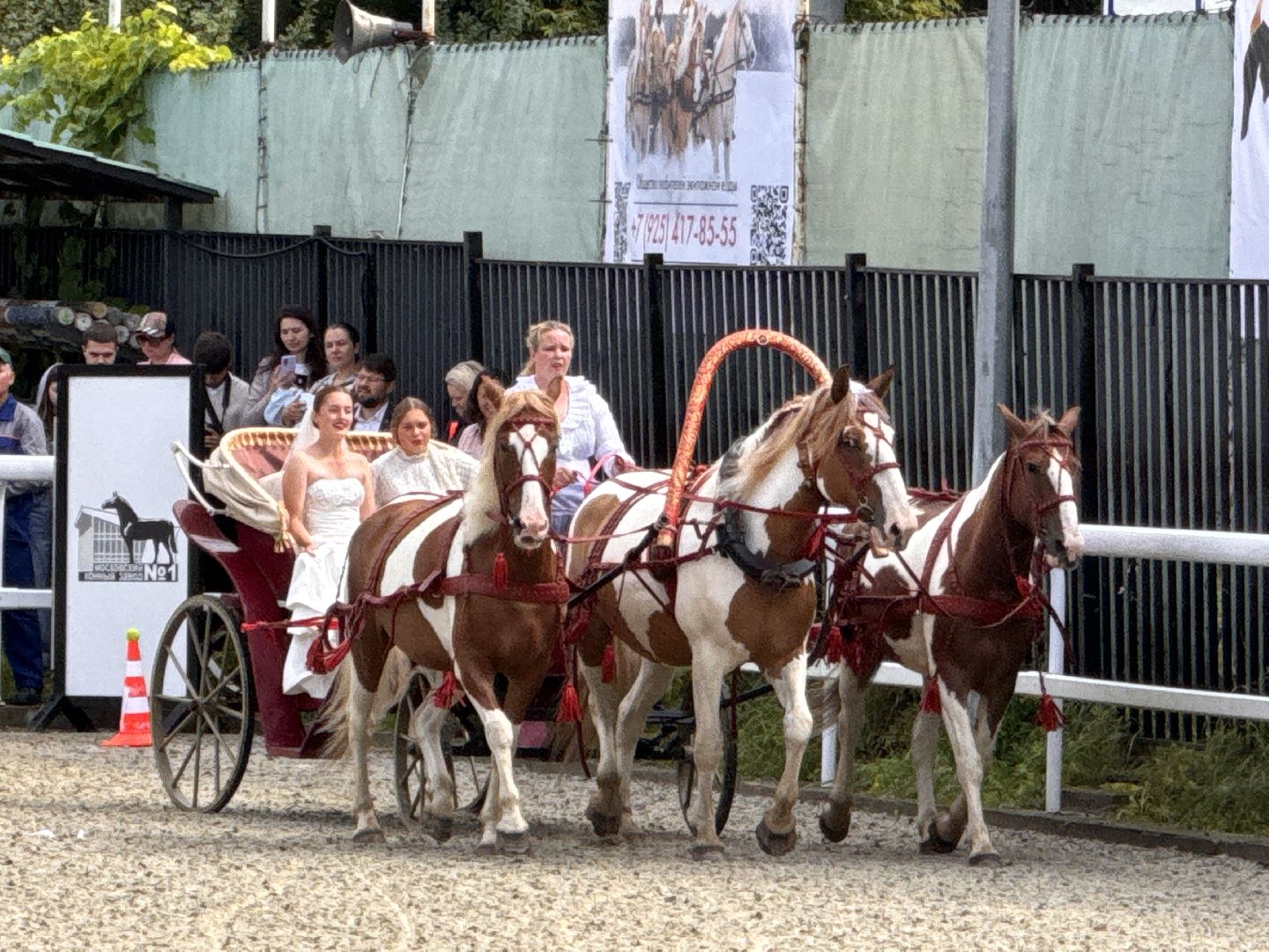 Крылатое сердце России, Чемпионат русских троек, Одинцово, МКЗ 1,