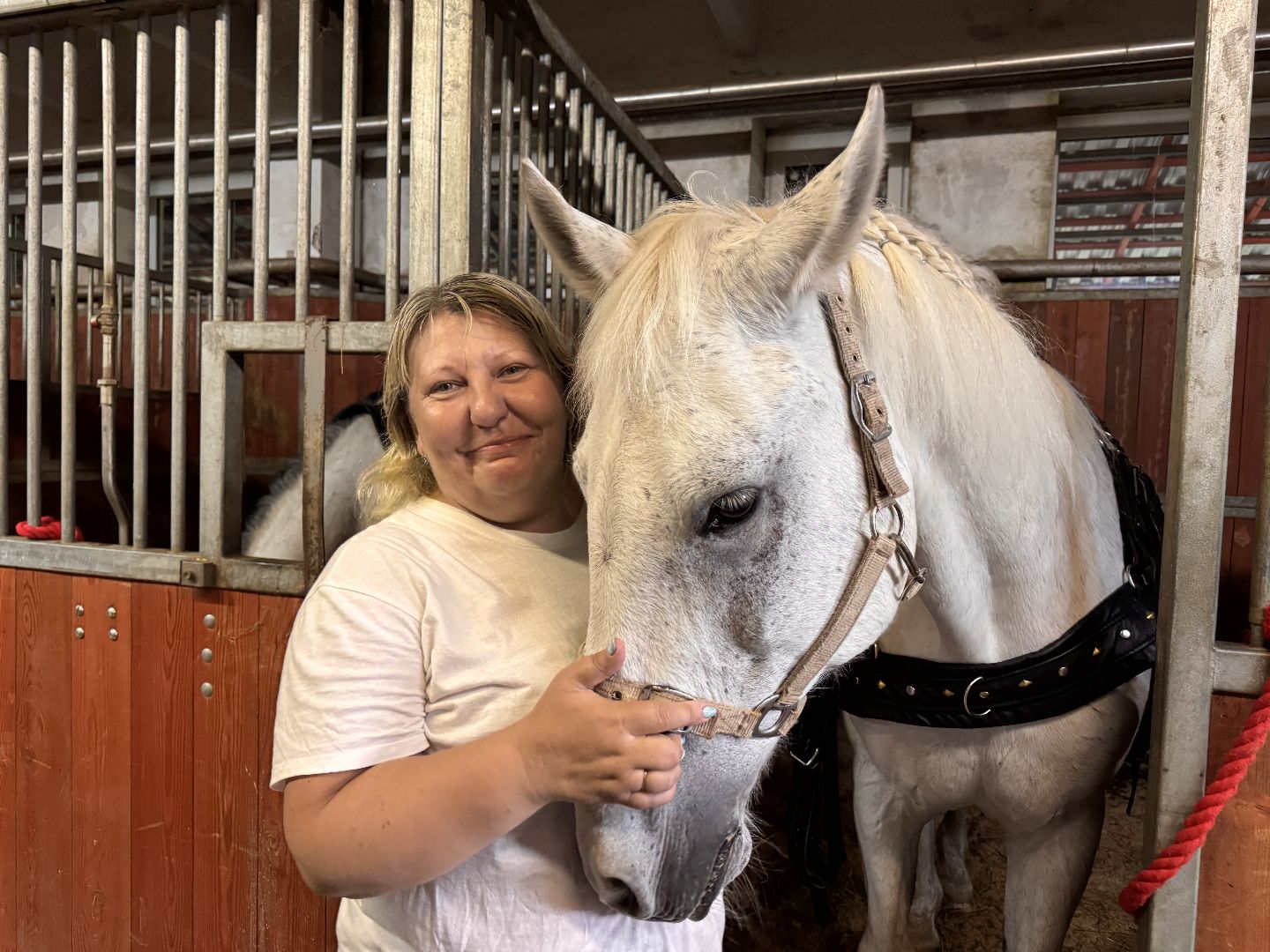 Крылатое сердце России, Чемпионат русских троек, Одинцово, МКЗ 1,