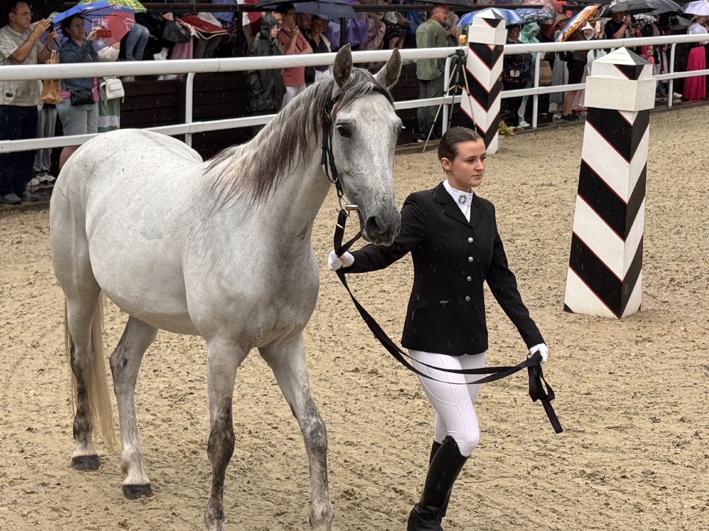 Крылатое сердце России, Чемпионат русских троек, Одинцово, МКЗ 1,