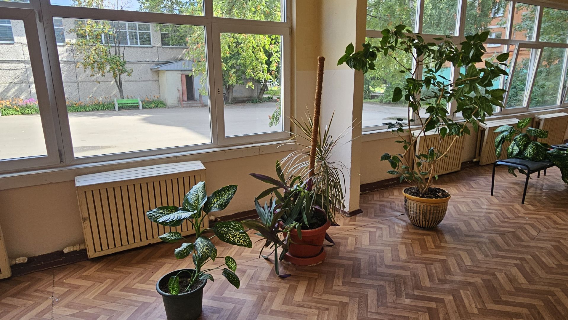 школа, 1 сентября, жуковский,