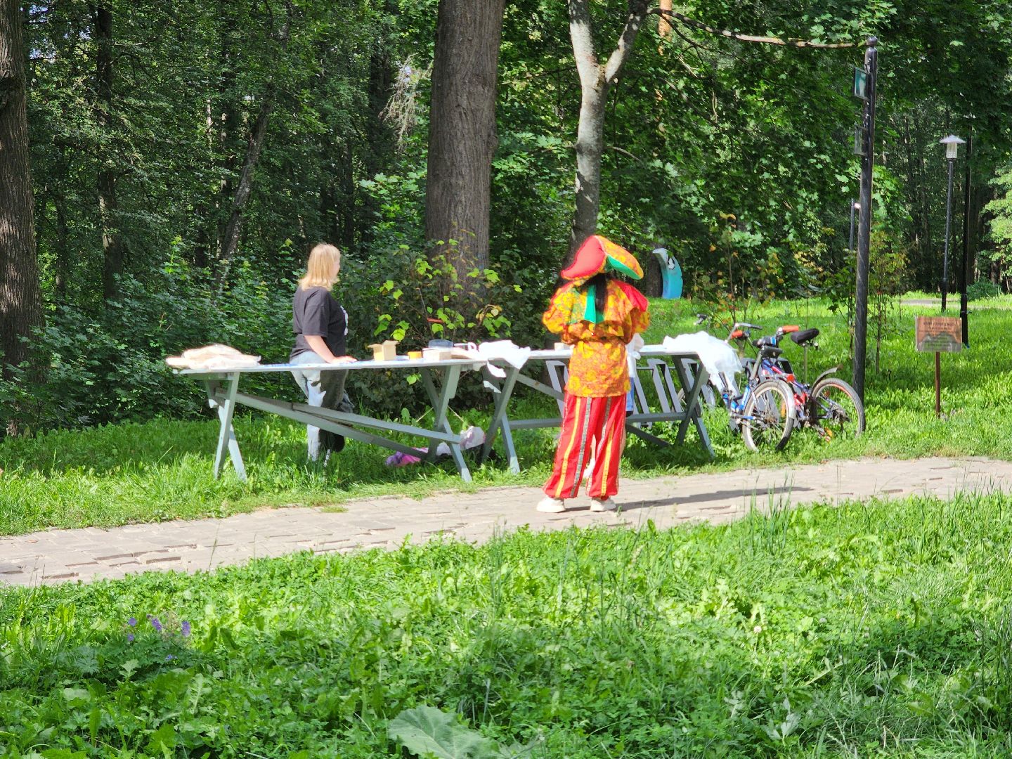 сергиев посад, парк скитские пруды, день физкультурника, волейбол, метание ножа, сергиево-посадский городской округ,
