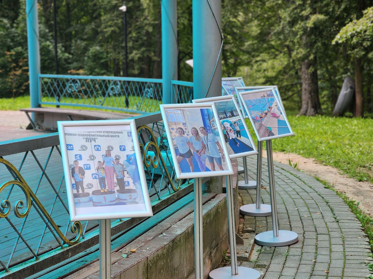 сергиев посад, парк скитские пруды, день физкультурника, волейбол, метание ножа, сергиево-посадский городской округ,