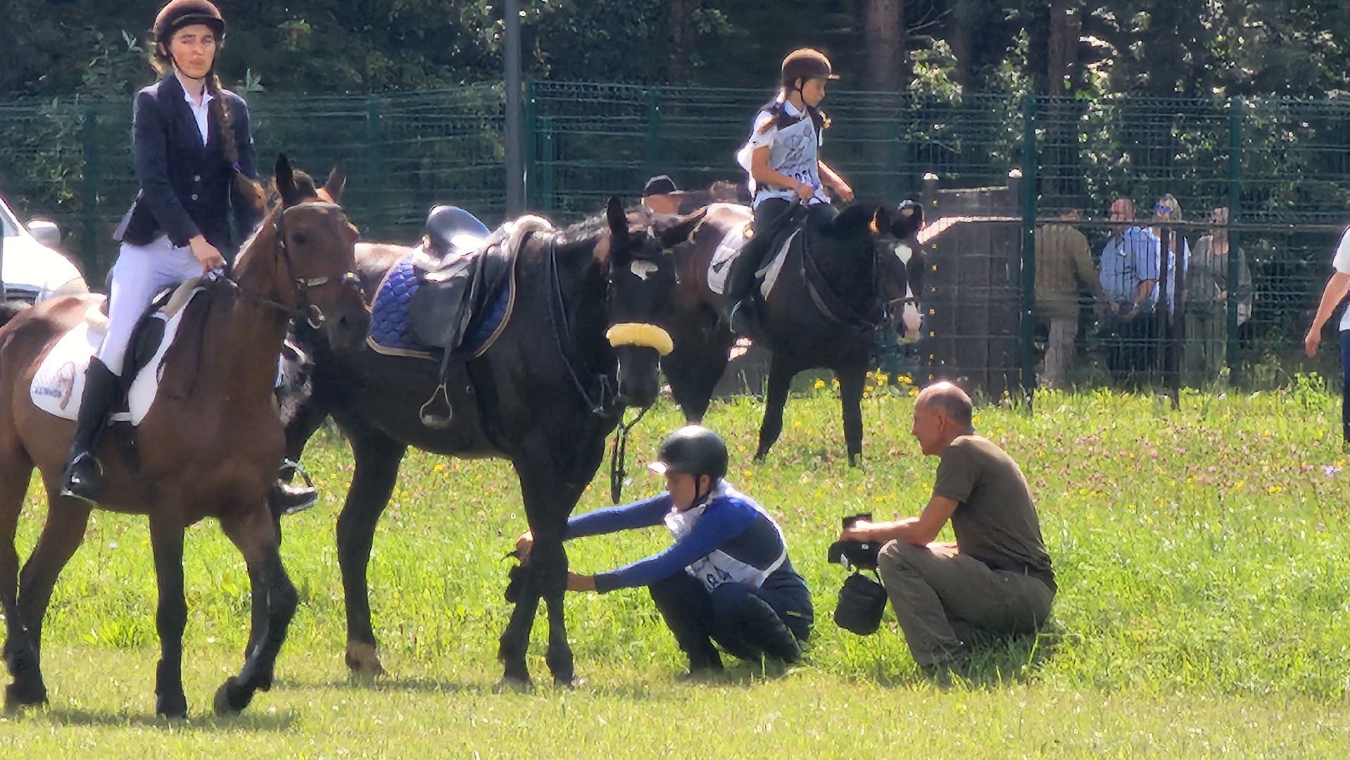 Зарайск, День города Зарайска, Соревнования по конному спорту,  Кубок главы по конному спорту,