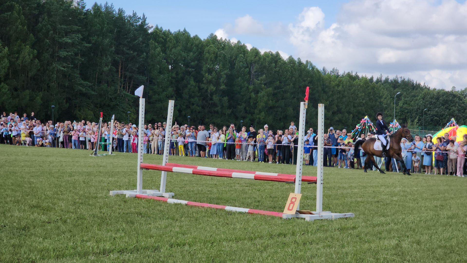 Зарайск, День города Зарайска, Соревнования по конному спорту,  Кубок главы по конному спорту,
