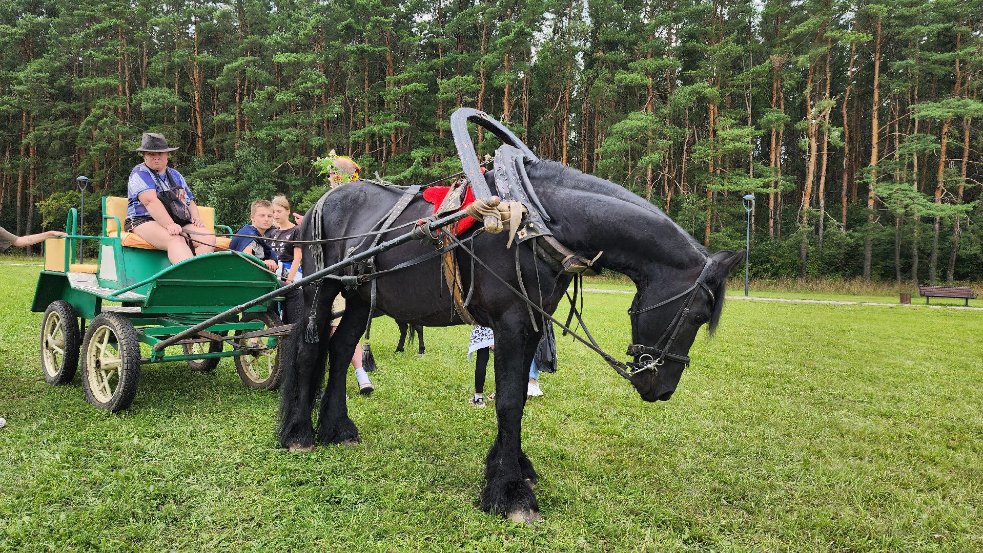 Зарайск, День города Зарайска, Соревнования по конному спорту,  Кубок главы по конному спорту,