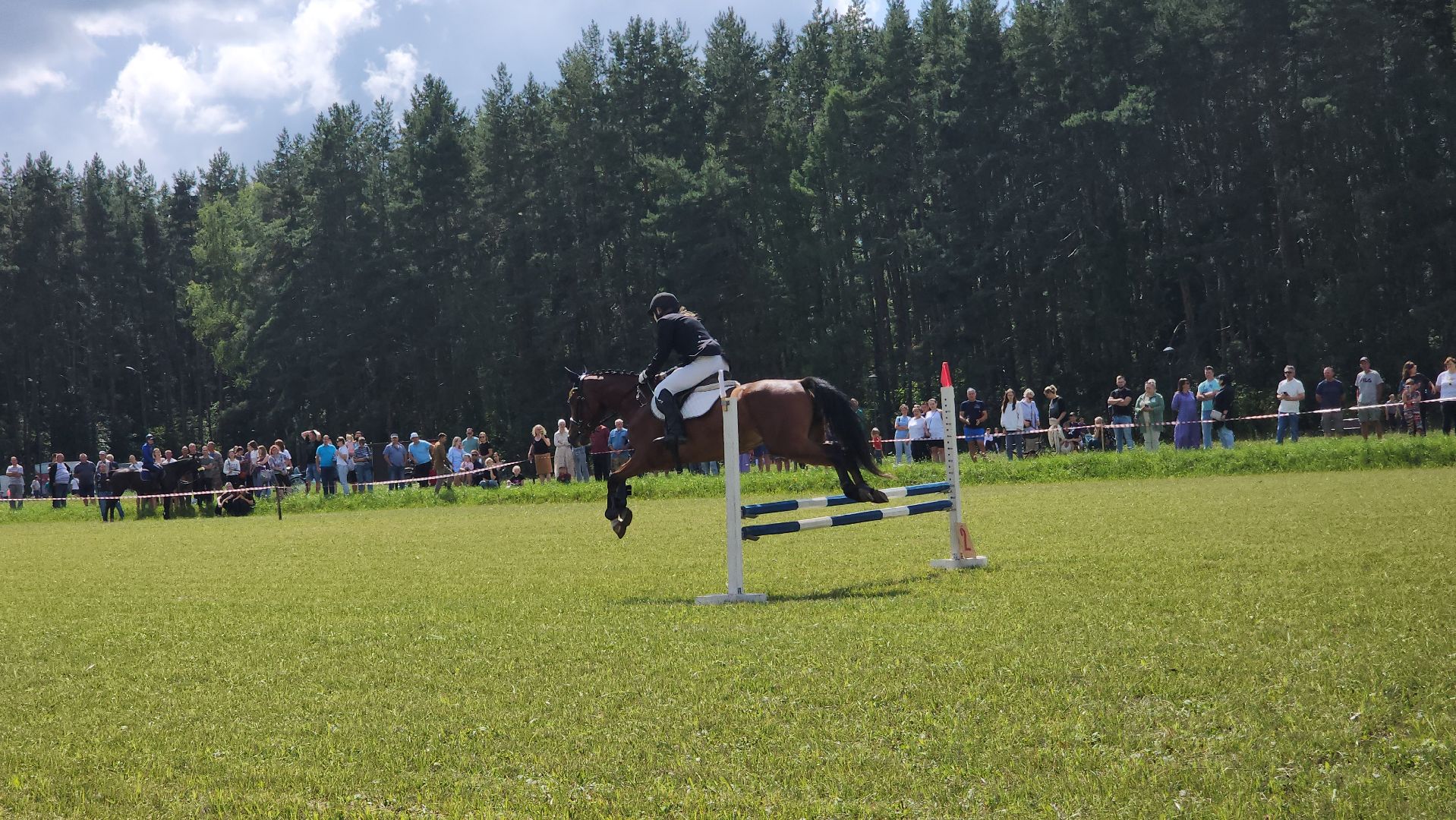 Зарайск, День города Зарайска, Соревнования по конному спорту,  Кубок главы по конному спорту,
