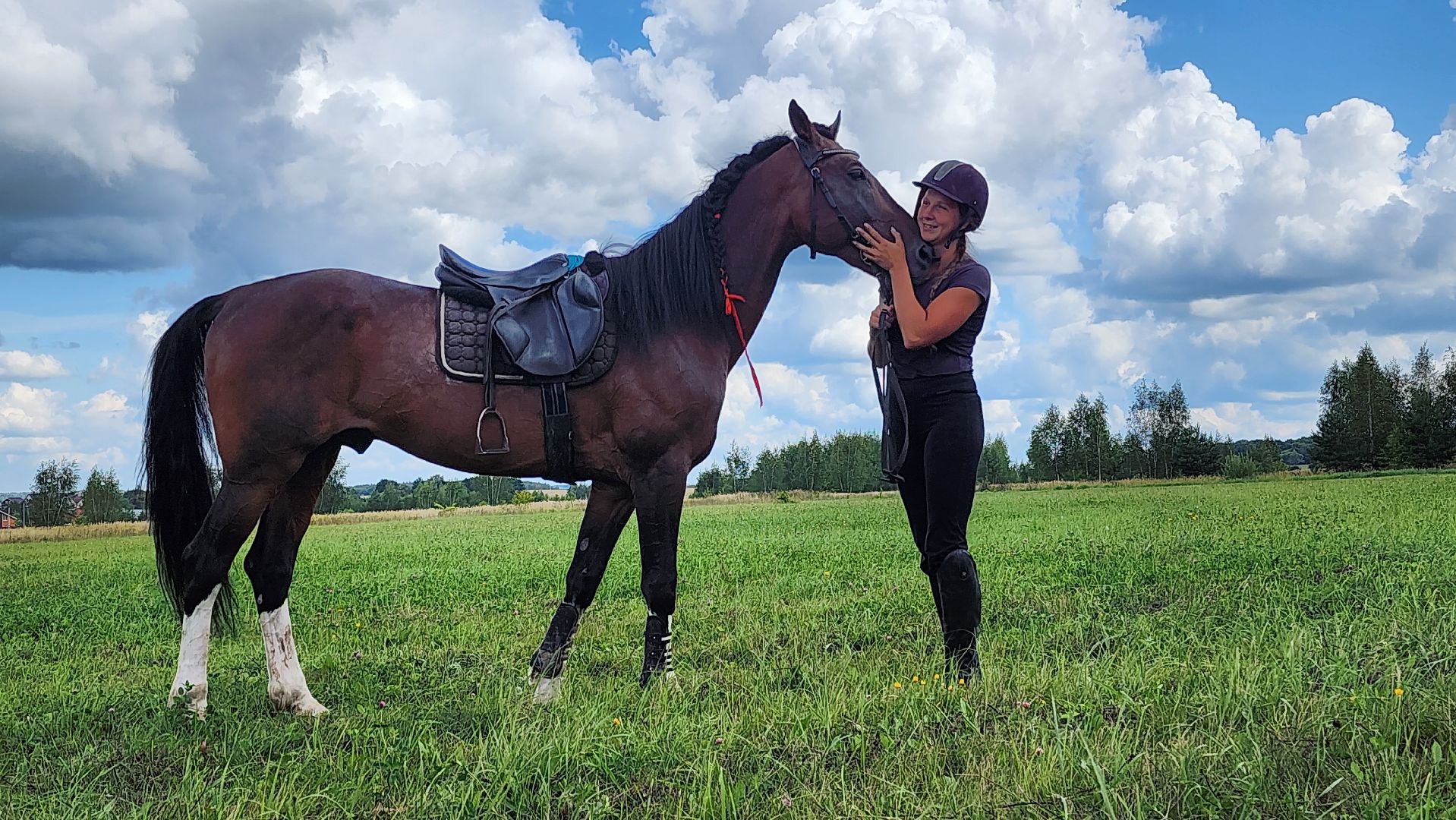 Зарайск, День города Зарайска, Соревнования по конному спорту,  Кубок главы по конному спорту,