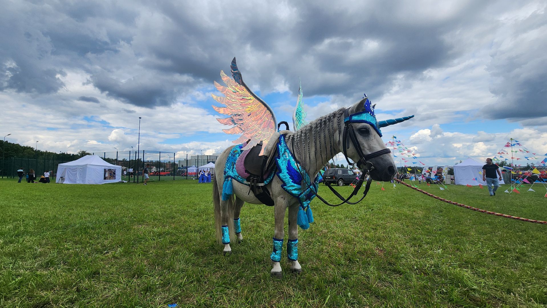 Зарайск, День города Зарайска, Соревнования по конному спорту,  Кубок главы по конному спорту,