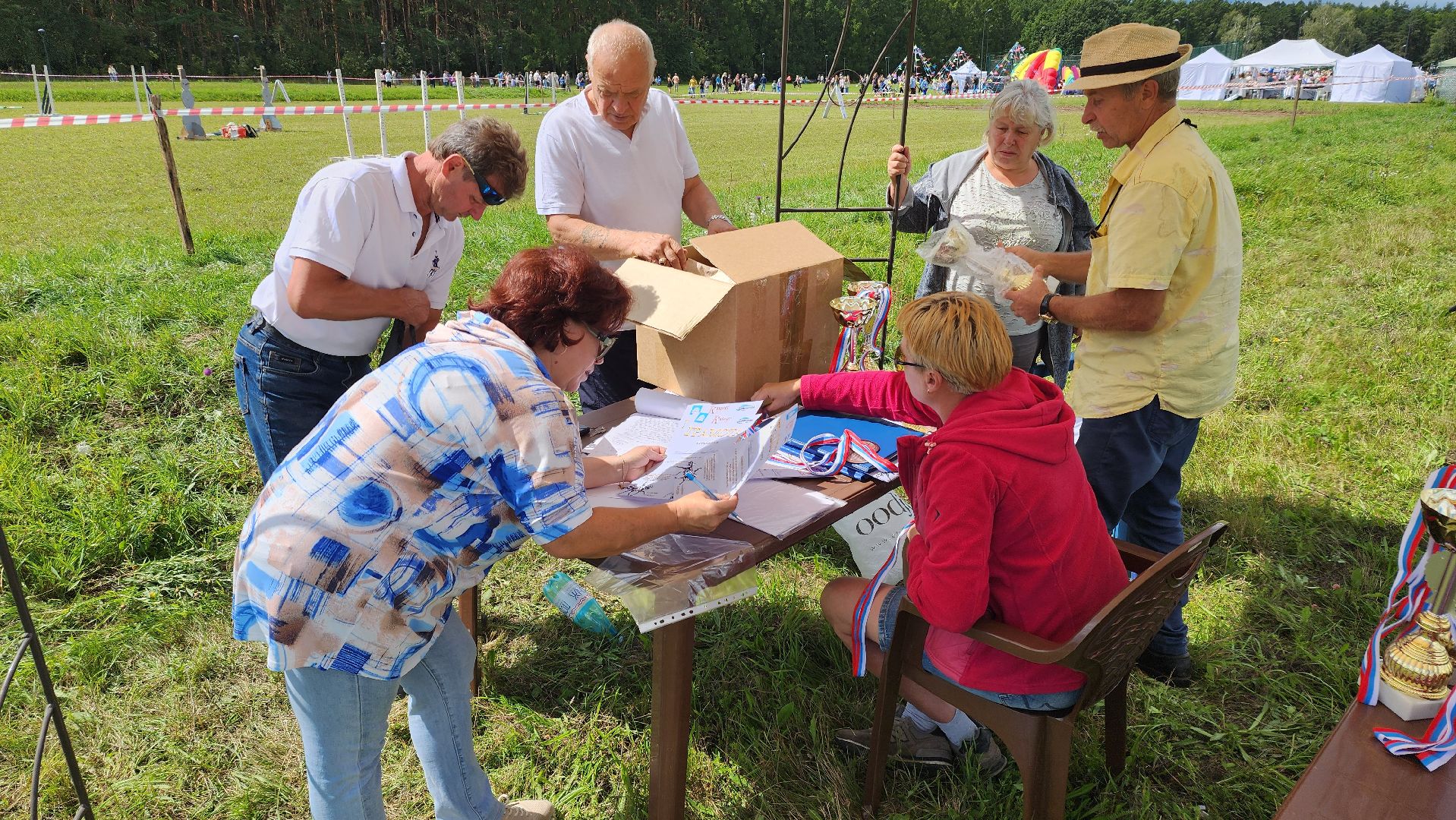 Зарайск, День города Зарайска, Соревнования по конному спорту,  Кубок главы по конному спорту,