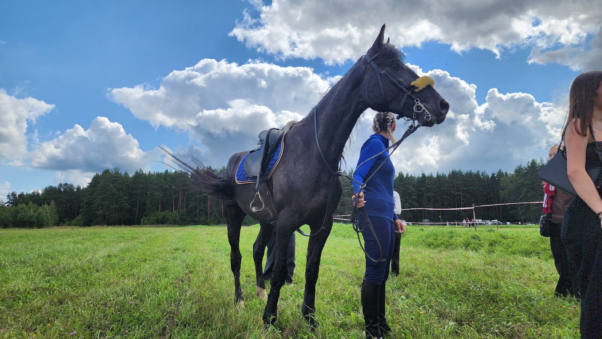 Зарайск, День города Зарайска, Соревнования по конному спорту,  Кубок главы по конному спорту,