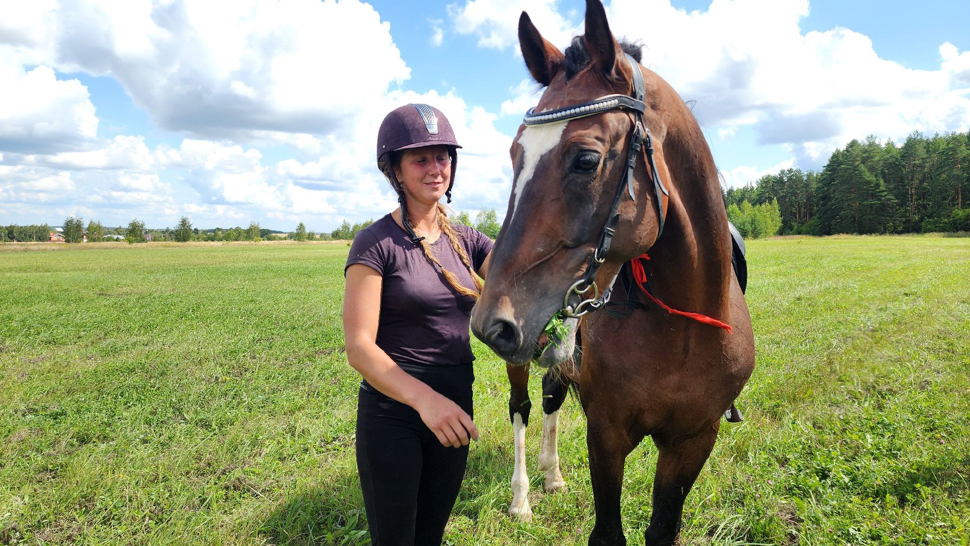 Зарайск, День города Зарайска, Соревнования по конному спорту,  Кубок главы по конному спорту,