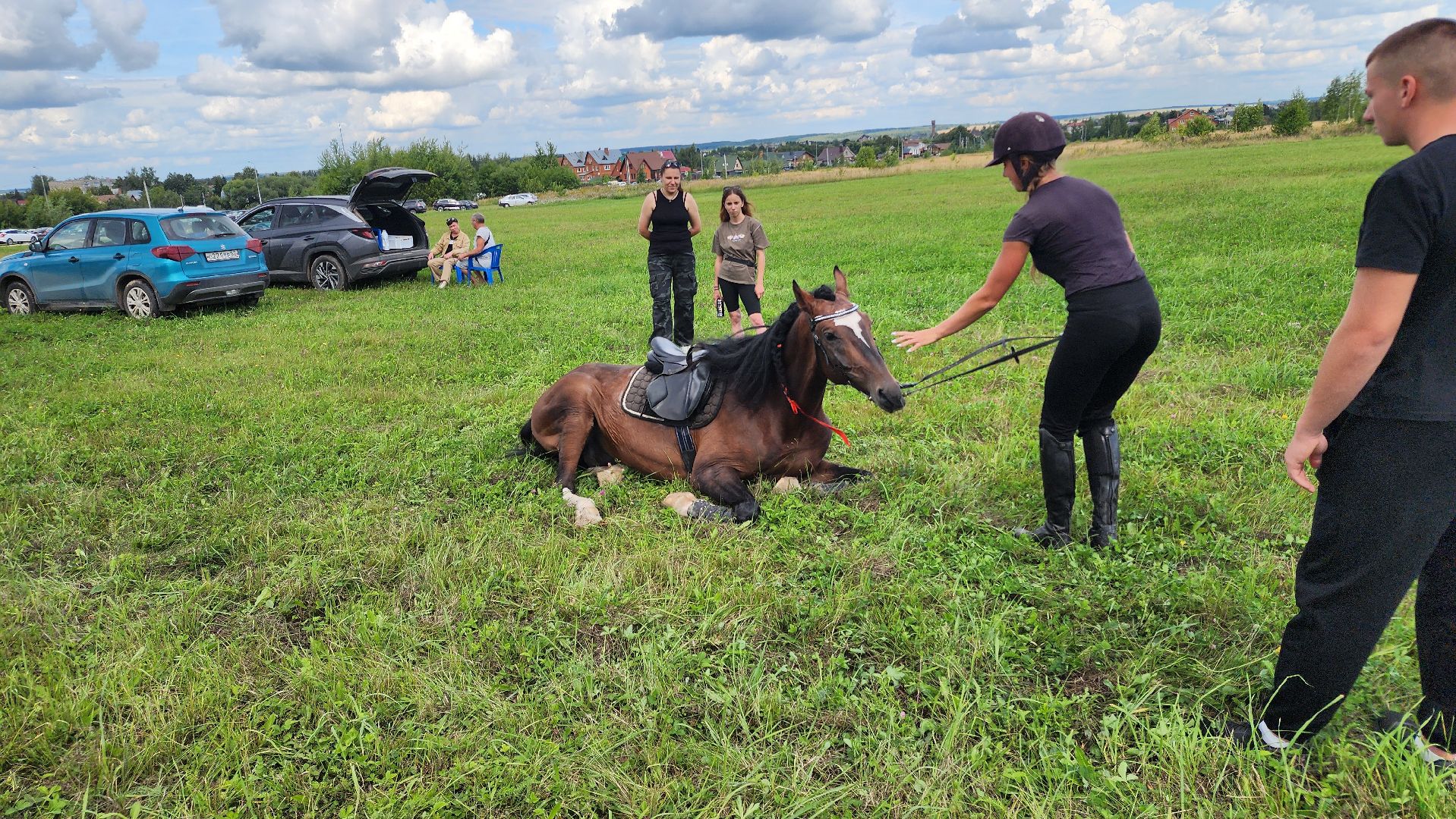 Зарайск, День города Зарайска, Соревнования по конному спорту,  Кубок главы по конному спорту,