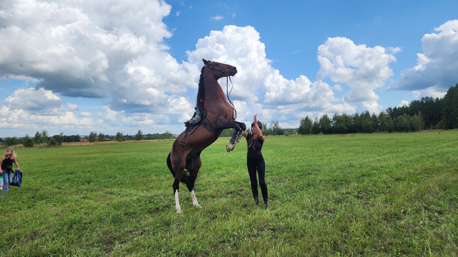 Зарайск, День города Зарайска, Соревнования по конному спорту,  Кубок главы по конному спорту,