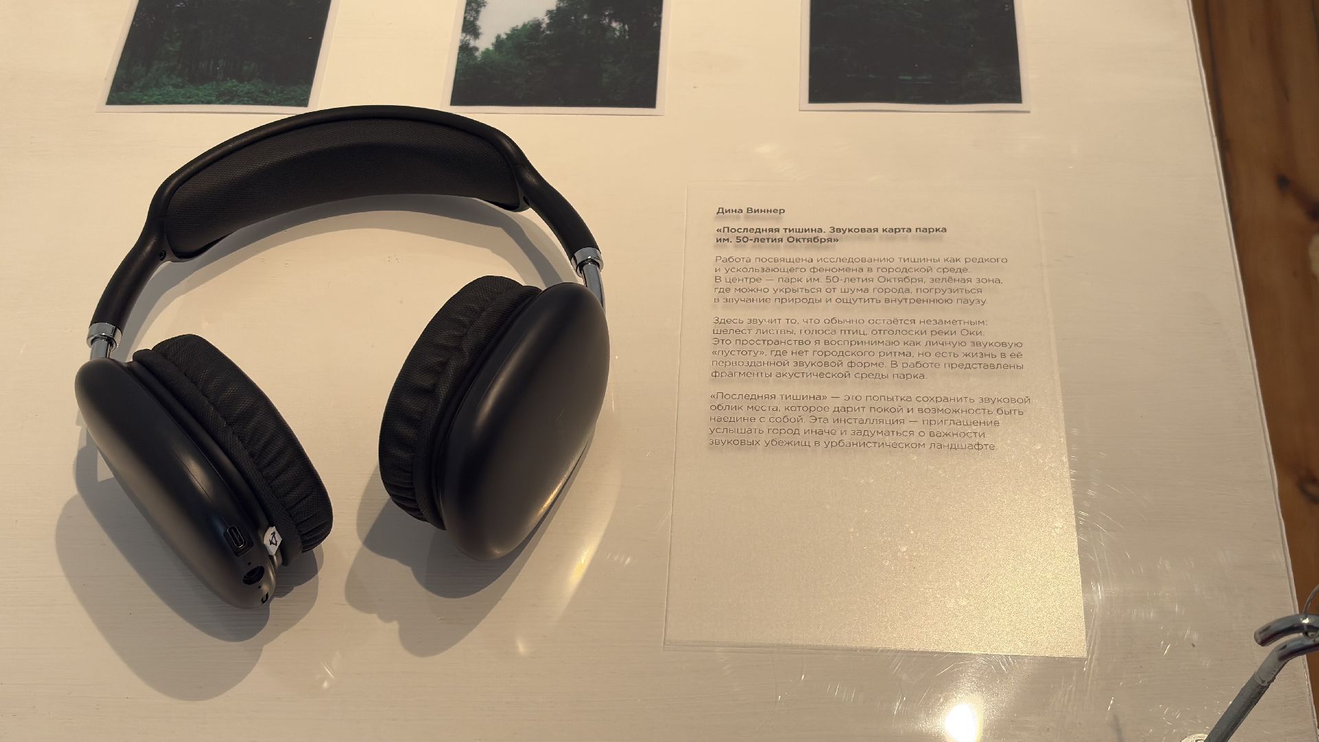 коломна, выставка, звук,