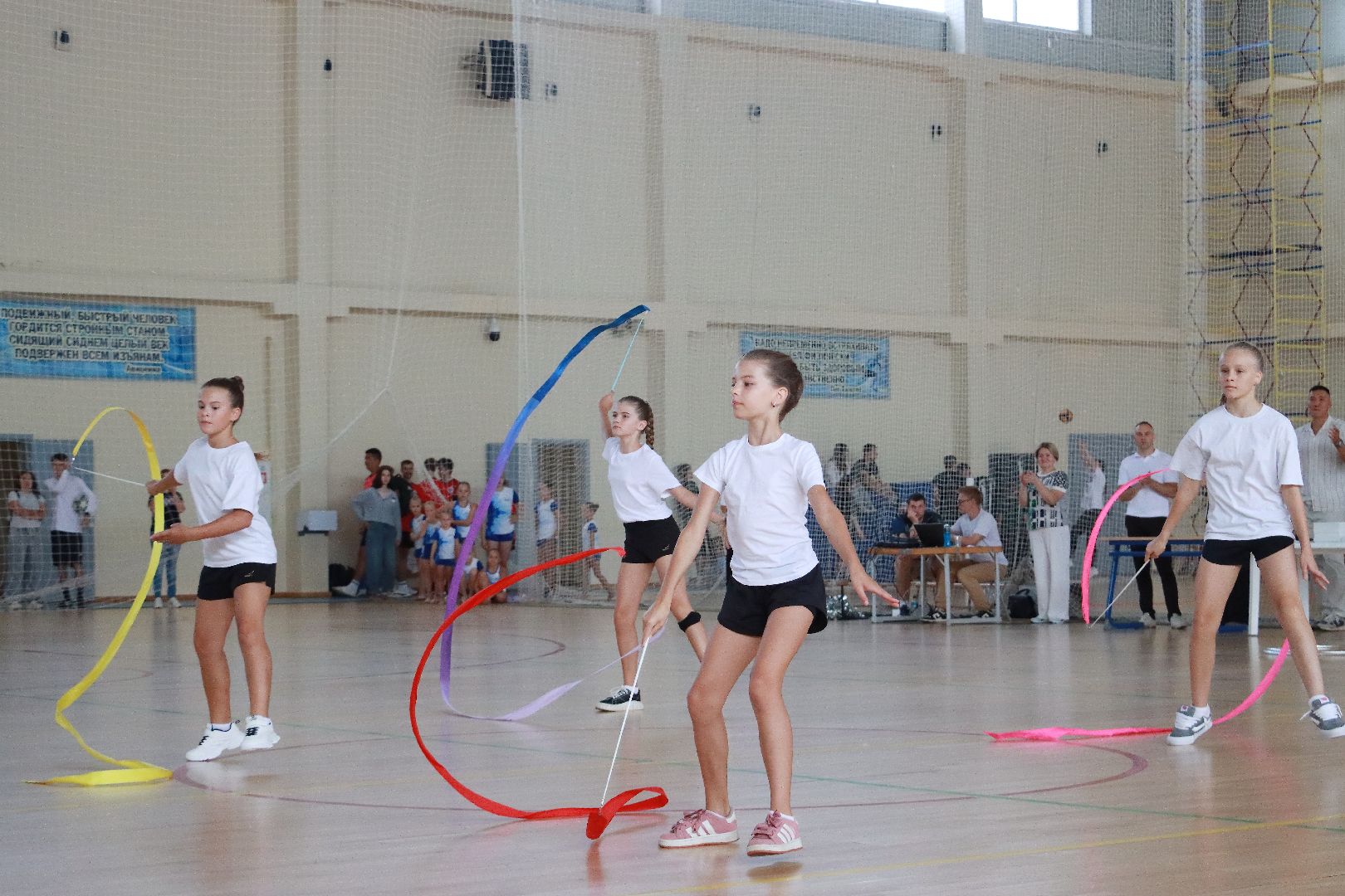 истра, волейбол, день физкультурника,