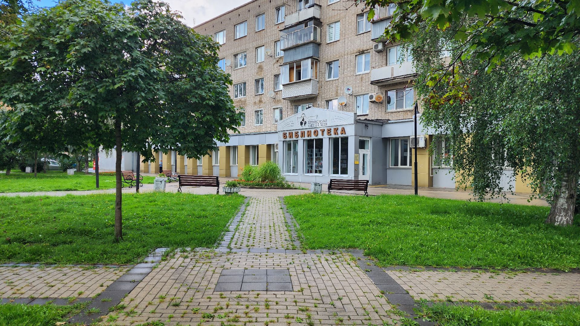 истра, библиотека, вернисаж,