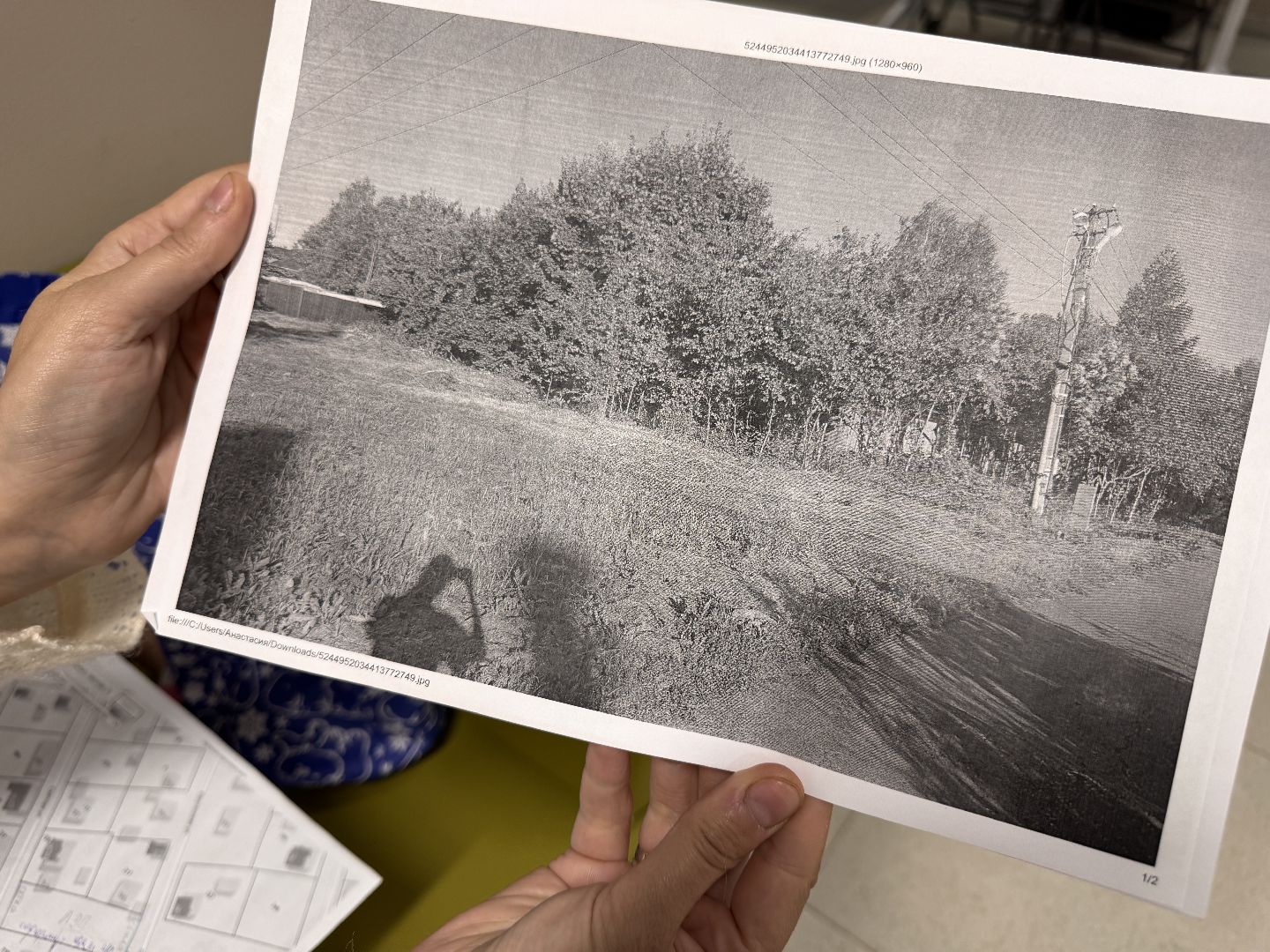 Выездная администрация в одинцово, Трубачеевка, Земли сельхозназначения,