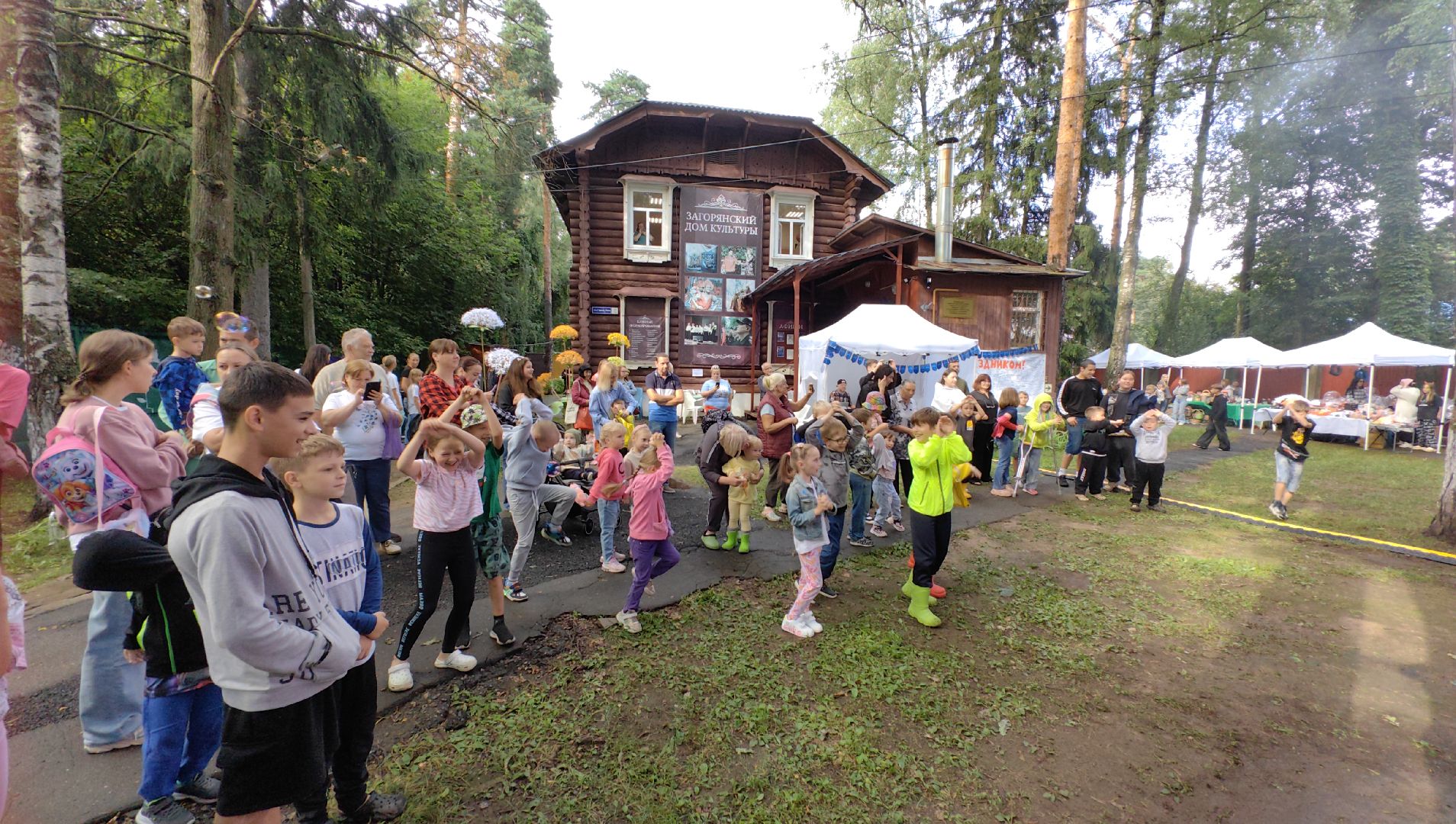 день округа, концерт, мастер-класс, пони, попкорн,