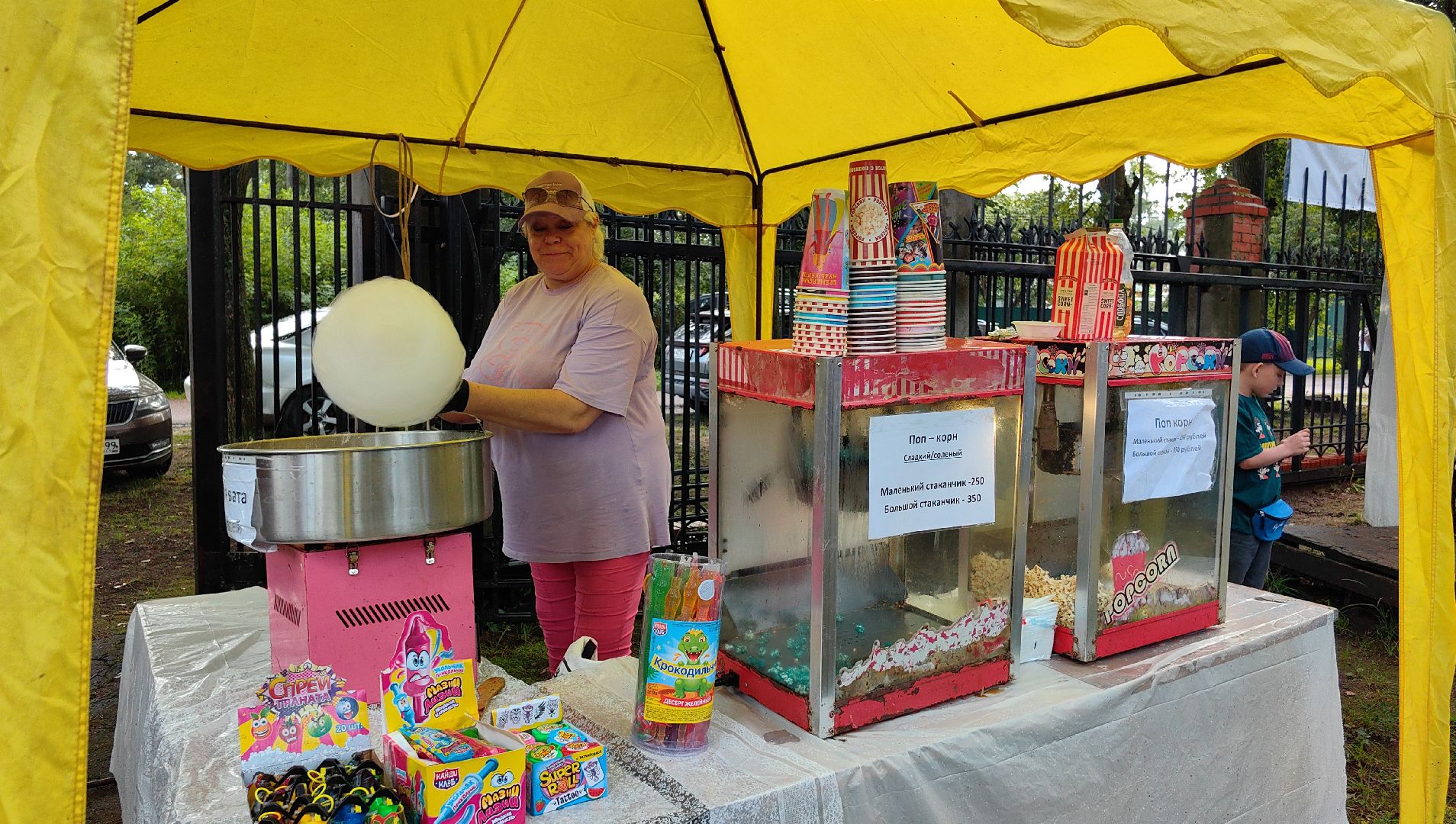 день округа, концерт, мастер-класс, пони, попкорн,