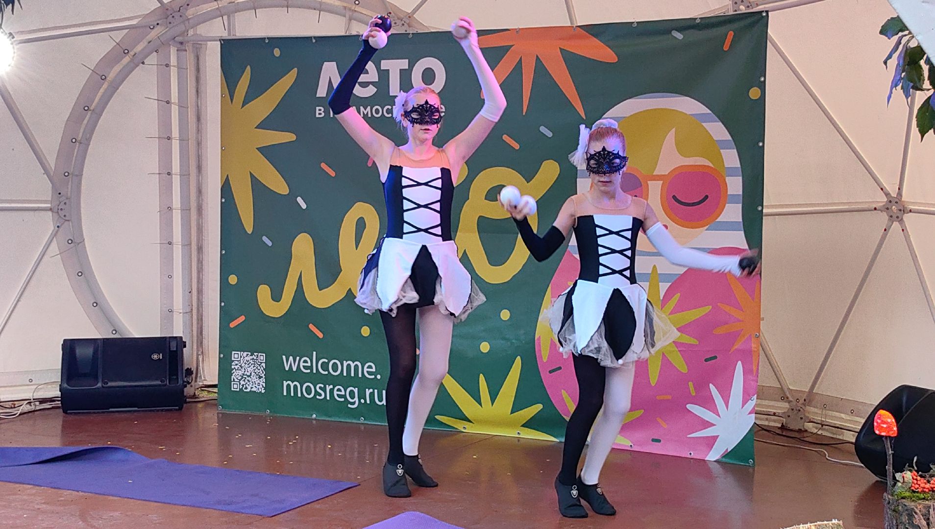 день округа, концерт, мастер-класс, пони, попкорн,