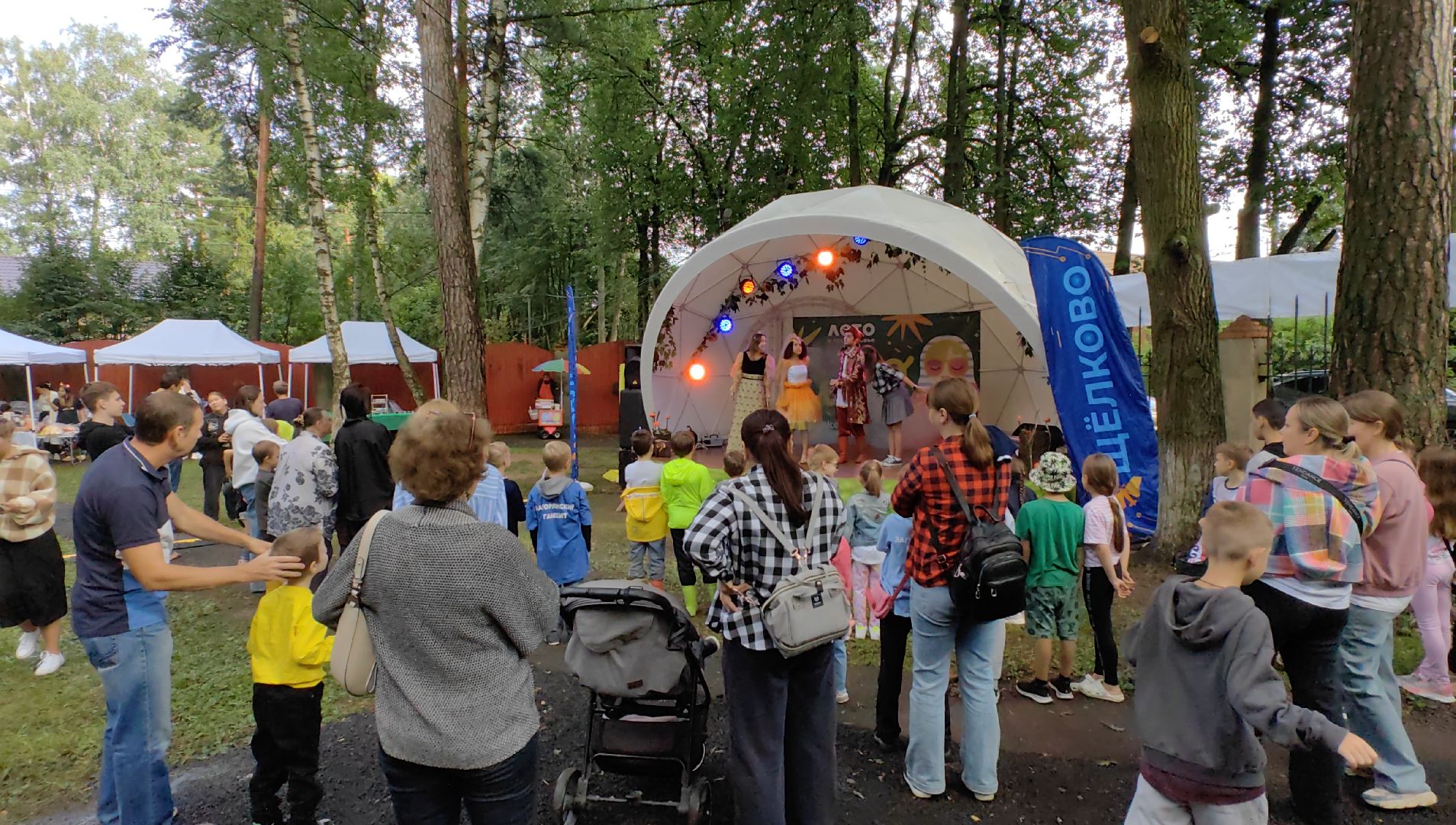 день округа, концерт, мастер-класс, пони, попкорн,