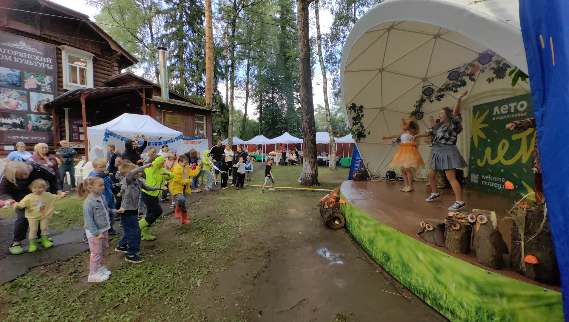 день округа, концерт, мастер-класс, пони, попкорн,