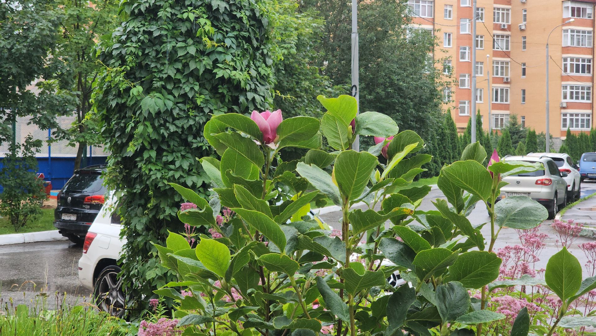 красногорск, лучший двор, конкурс,