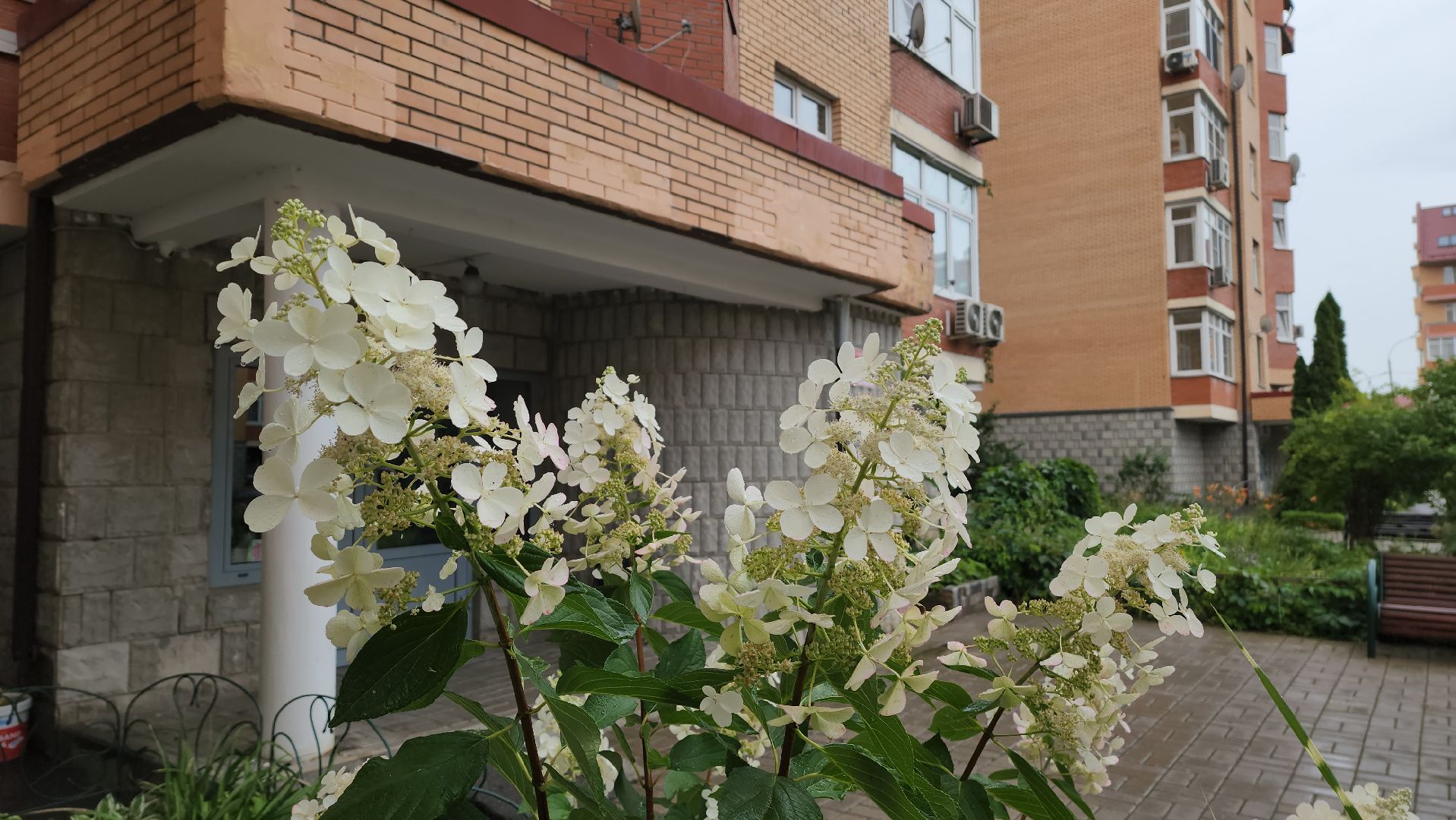 красногорск, лучший двор, конкурс,