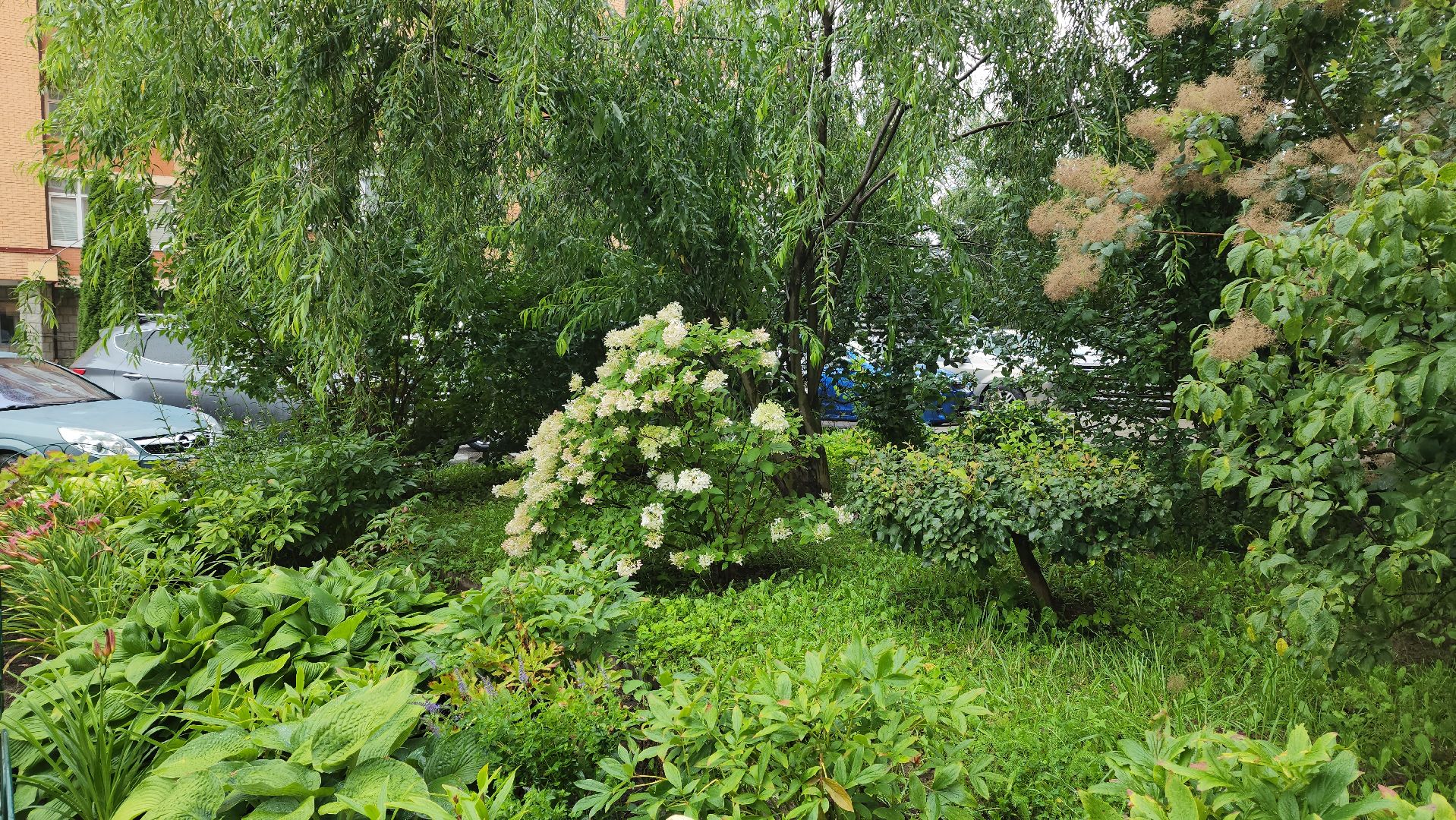 красногорск, лучший двор, конкурс,