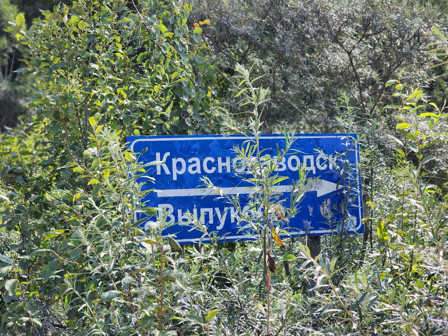 сергиево-посадский городской округ, сергиев посад, краснозаводск, богородское, ремонт автомобильных дорог,