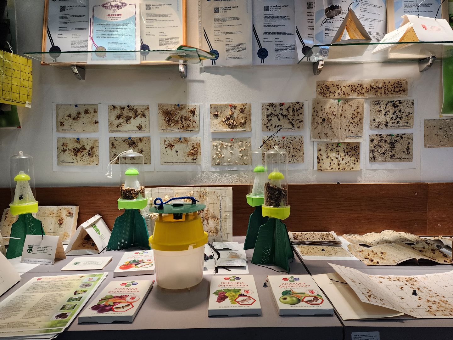 раменское, наука, сельское хозяйство, всероссийский центр карантина растений в раменском округе,  новые феромоны для насекомых-вредителей,