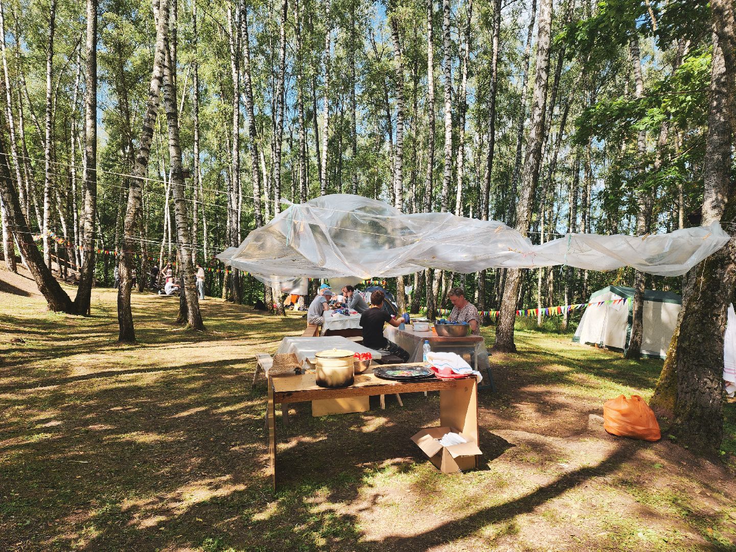 пущино, серпухов, лагерь, православие,