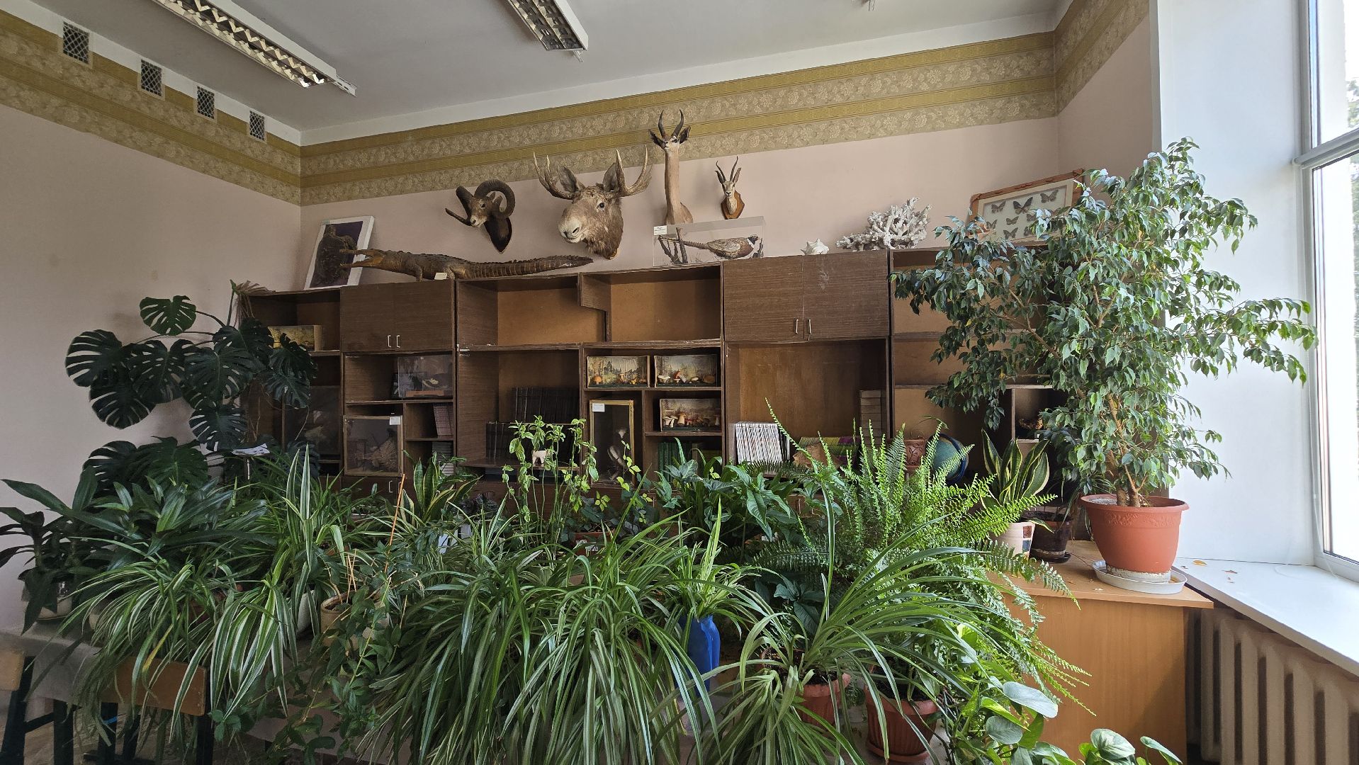 Коломна, подготовка к новому учебному году, гимназия,