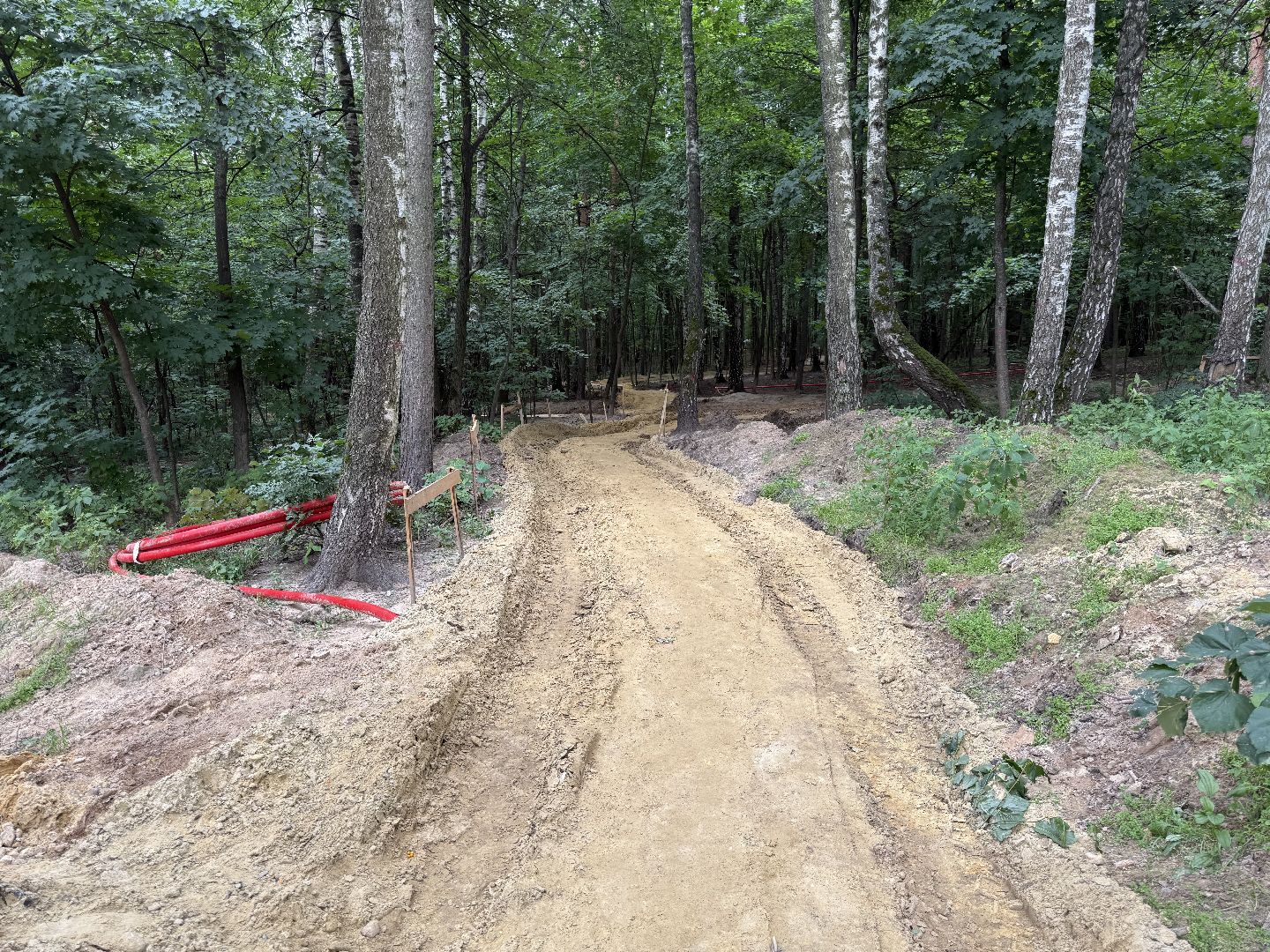 люберцы, томилинский лесопарк, Благоустройство ,