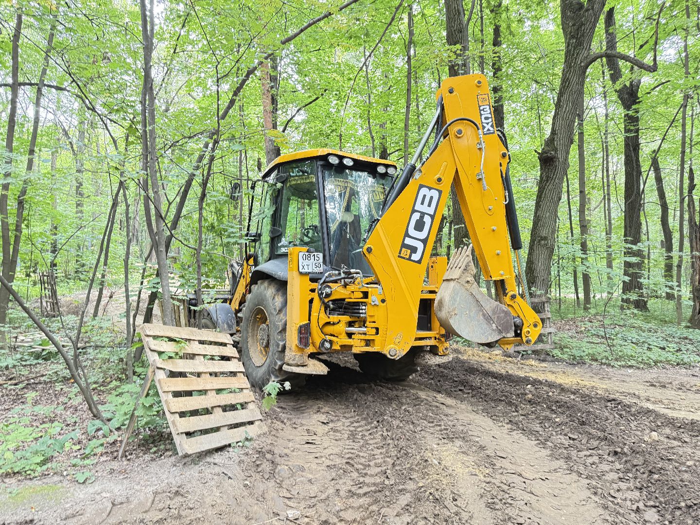люберцы, томилинский лесопарк, Благоустройство ,